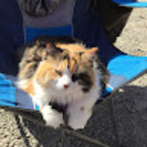 Meet your Posher, Jamie